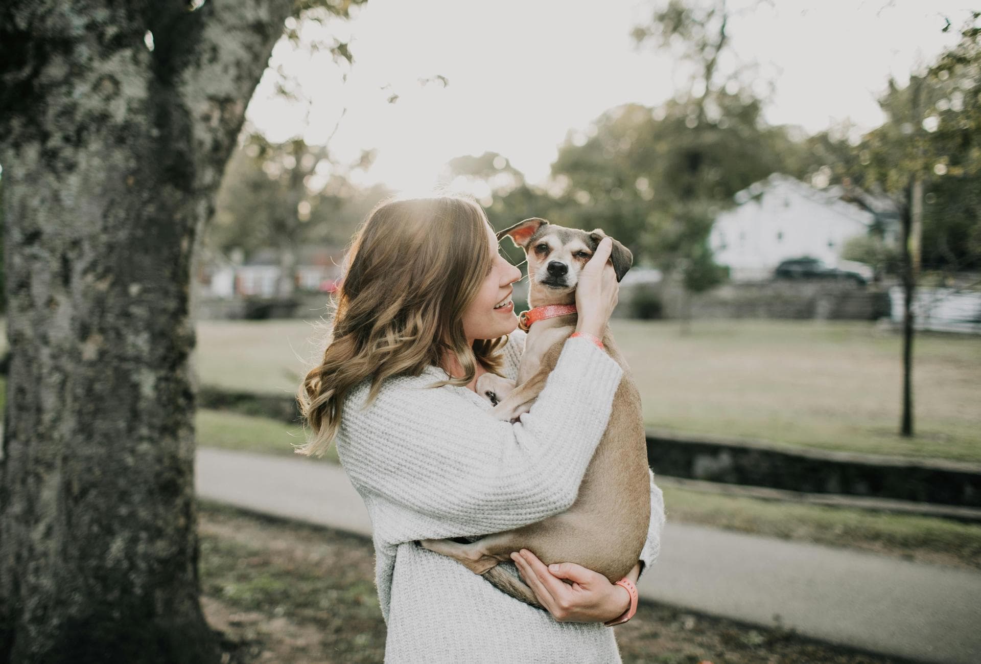 Dog & Cat Vets in Toms River
